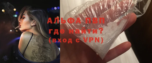 индика Алексин