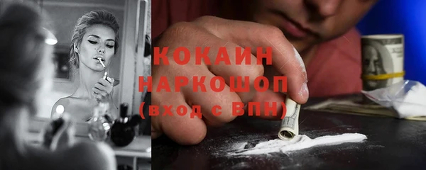 индика Алексин