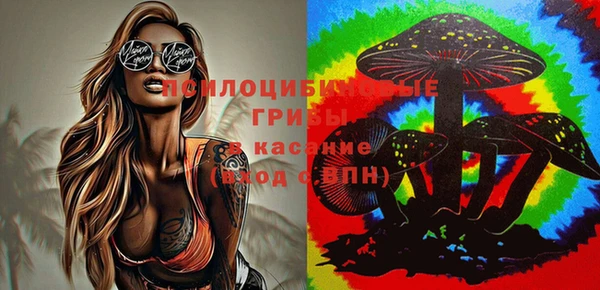 тгк Алексеевка