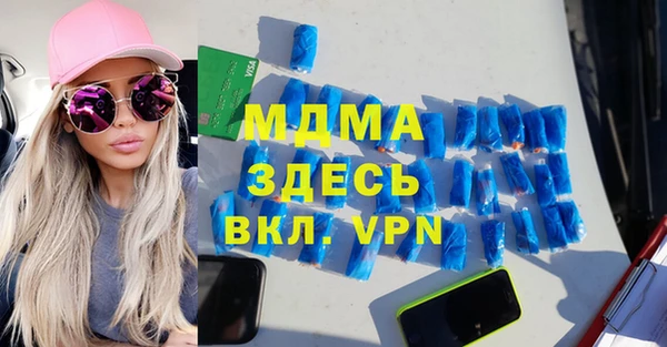 индика Алексин
