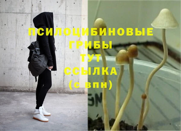 тгк Алексеевка