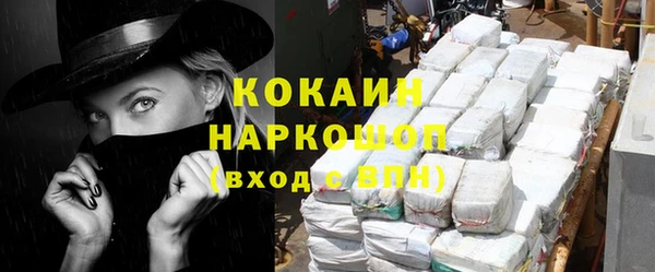 индика Алексин